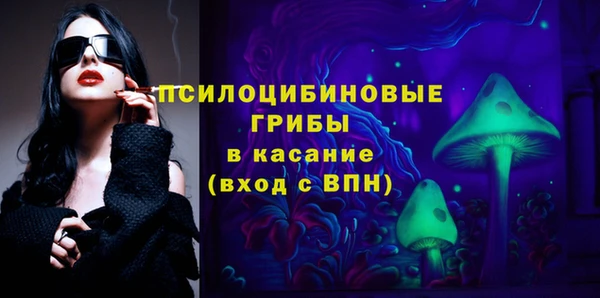 хмурый Белокуриха