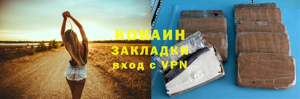 хмурый Белокуриха