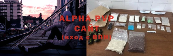 хмурый Белокуриха