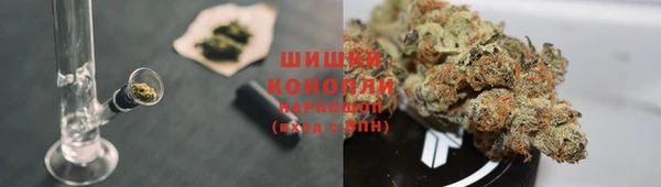 СК Беломорск