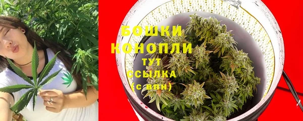 apvp Балабаново