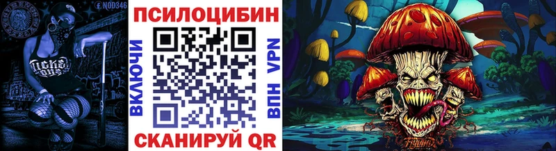 наркота Колпашево Псилоцибиновые грибы Magic Shrooms