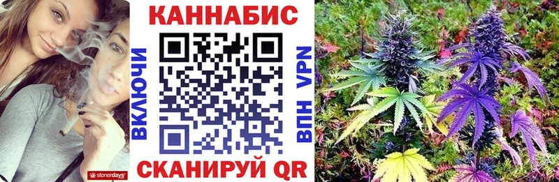 Бошки марихуана семена  darknet как зайти  Колпашево  где купить наркотик 